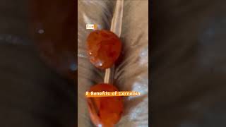 8 Benefits of Carnelian Crystal 🔮💎🔥shorts crystalhealing [upl. by Nileve]