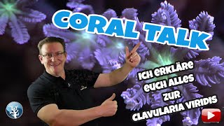 📢Coral Talk 2 Clavularia viridis ⭐Röhrenkoralle Einsteigertauglich⭐ [upl. by Yelrak]