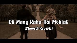 Dil mang raha hai mohlat slowedreverb  yaseer Desai song  2024newsong [upl. by Oatis]