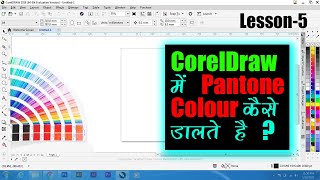 Know About Colour amp Pantone in Coreldraw  कोरलड्रॉ मे कलर कैसे यूज़ करें [upl. by Prosperus]