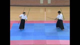 Aikido Demo  bokken vs bo [upl. by Schwarz359]