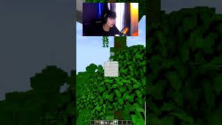 Tick Freeze minecraft minecraftmemes minecraftfunny yurizingod [upl. by Harcourt]