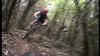 Nino  Frischi Trail  Mountain Bike [upl. by Natehc]