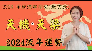 【2024甲辰年紫微流年運勢】系列流年命宮天機、天梁2024運勢 天機、天梁在辰2024流年運勢 2024流年運勢2024流年四化chinese astrology [upl. by Billi]