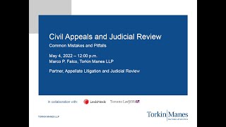 Civil Appeals and Judicial Reviews Common Mistakes and Pitfalls [upl. by Nuajed281]