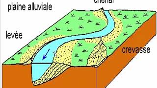 les milieux sédimentaires actuels partie 13 [upl. by Ut]