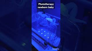 Newborn baby cute cutebaby shortsvideo viralshorts atharva siblings [upl. by Titos768]