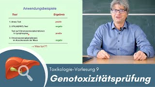 Toxikologie erklärt Genotoxizitätsprüfung Vorlesung 9 [upl. by Nahta]