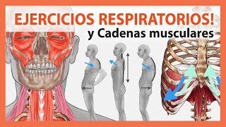 🛑 Alivia tu Dolor Mejorando tu Respiración 👉Desbloquea tus Cadenas Musculares Técnicas y Ejercicios [upl. by Enier]