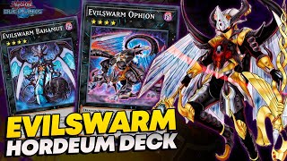 EVILSWARM CORROMPENDO O META HORDEUM MALIGNO NO DUEL LINKS [upl. by Horan]