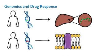 The Science of Pharmacogenomics [upl. by Jesse]