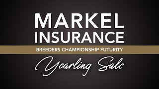 2022 NSBA World Show and Markel Insurance Breeders Championship Futurity Yearling Sale [upl. by Oswin]