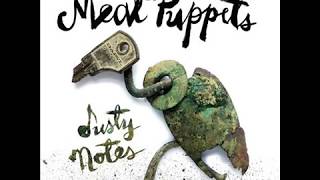 Meat Puppets Studio Albums Ranked Worst to Best [upl. by Lavoie221]