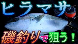 【磯釣り】離島の磯釣りで海のスプリンター『ヒラマサ』を狙う！【カゴ釣り】 [upl. by Cartwright]