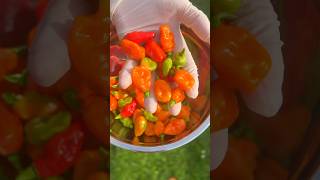 Spicy Habanero Chili Sauce 🥵🌶️ habanero chilli hotsauce spicyfood cookingshorts cooking [upl. by Africah]