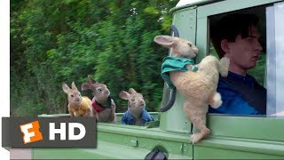 Peter Rabbit 2018  Wet Willy Rescue 410  Movieclips [upl. by Pail]