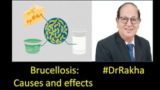 Brucellosis Causes and effects DrRakha [upl. by Ardried413]