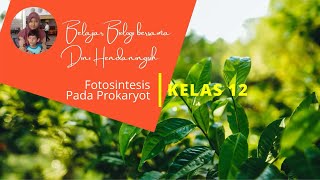 Fotosintesis Pada Prokaryot  Biologi Kelas 12 [upl. by Evilo]