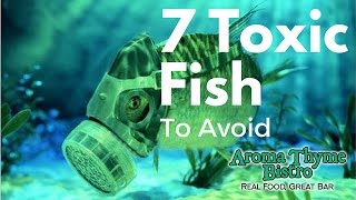 Top 7 Most Toxic Fish and What To Eat Instead 1 of 7 [upl. by Hadrian]