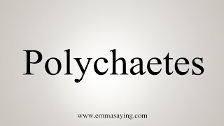 How To Say Polychaetes [upl. by Yar]