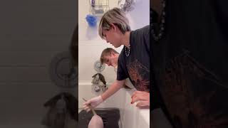 How to Bathe Hairless Kittens 🐈 [upl. by Fawcette]