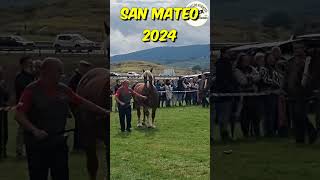 💪🐎🏔️FERIA DE SAN MATEO 2024🏔️🐎 horse horsebreed caballos horselovers [upl. by Nannie]