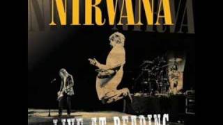 Nirvana  Smells Like Teen Spirit Live At Reading [upl. by Fates]