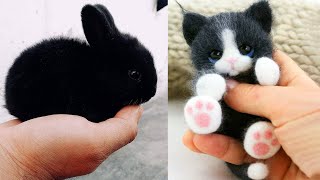 Cute baby animals Videos Compilation cute moment of the animals  Cutest Animals 46 [upl. by Lisle840]