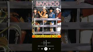 BRONCO 25 EXITOS ROMANTICOS DEL RECUERDO  BRONCO MIX MEJORES CANCIONES INMORTALES [upl. by Edy]