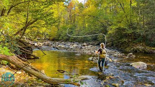 Fly Fishing for a Trout you have to see to believe Fall Trout Fishing [upl. by Burley]