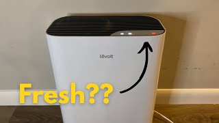 Review of the Levoit Air Purifier [upl. by Assereht]