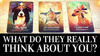 PICK A CARD 🔮 🤔 WHAT DO THEY REALLY THINK ABOUT ME 🤔 🔮 PlatonicRomanticFamilyWork Tarot Reading [upl. by Amsed]