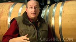 Wine Making at Crushpad Malolactic Fermentation [upl. by Orenid282]