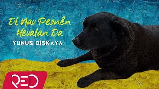 Yunus Dişkaya  Di Nav Pesnên Hevalan Da Official Audio [upl. by Nitnilc]