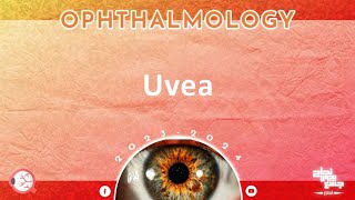 Revision of Ch Uveal tract disorders 123 Ophthalmology [upl. by Anelyak]