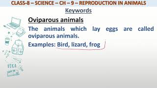 Definition of Oviparous animals for class 8 science [upl. by Narual]