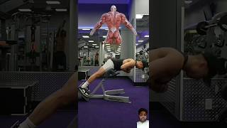 Hypertension extension variation know the difference hyperextension shortsvirlsvideos [upl. by Yvonne30]