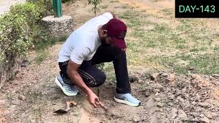 Tree plantation 365days challenge DAY143 tree youtube trending treeplantation plantation 🍀🌍🌳 [upl. by Ecinev407]