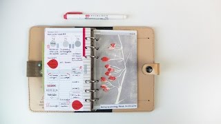 Planner Decoration quotRed Berriesquot [upl. by Erlewine]