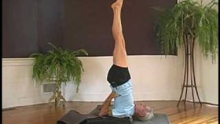 John Schumacher Teaches Salamba Sarvangasana I [upl. by Cerellia]