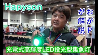 Hapyson充電式高輝度LED投光型集魚灯（アジングライト）尾形慶紀さん解説 [upl. by Meean514]