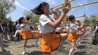 Blumen Hügel Parade2016  Sing Sing Sing  Kyoto Tachibana SHS Band [upl. by Kapor493]