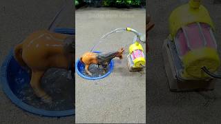 Diy mini motor water pump science project mini tractor making horse bathed video  120 [upl. by Chadwick]