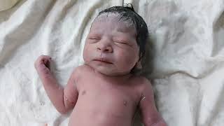 Beautiful newborn Baby is fully covered in vernix after birth [upl. by Lura768]