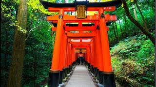 POV Walking through the World Famous Shrines in Japan  Thousand Tori Gates [upl. by Holms]