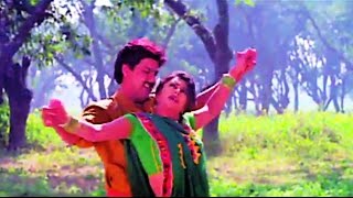 Jaan Maarela Gori  Bhojpuri Video Song  Maiya Rakhiha Senurwa Aabad [upl. by Epner636]