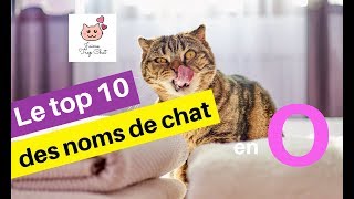 Le top 10 des noms de chat en O en 2018 [upl. by Orsino451]