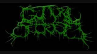 Guttural Secrete  Torturous Impregnation [upl. by Anilocin]