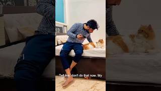 billi comedy cat comedy wait for end [upl. by Abbi]