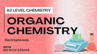 A2 Level Chemistry  Amino Acid Electrophoresis [upl. by Ahseuqal968]